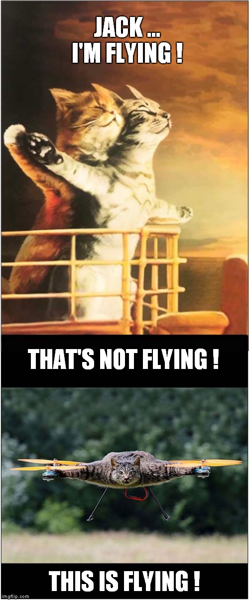 titanic Memes & GIFs Imgflip