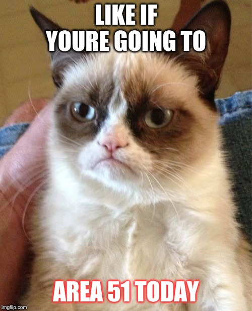 Grumpy Cat Meme Imgflip