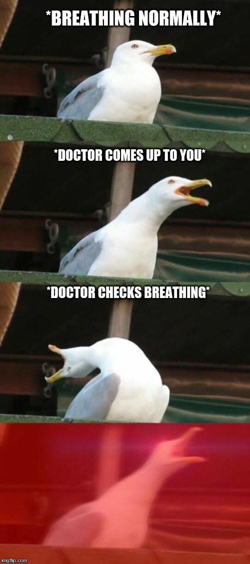 breathing bird Memes & GIFs Imgflip