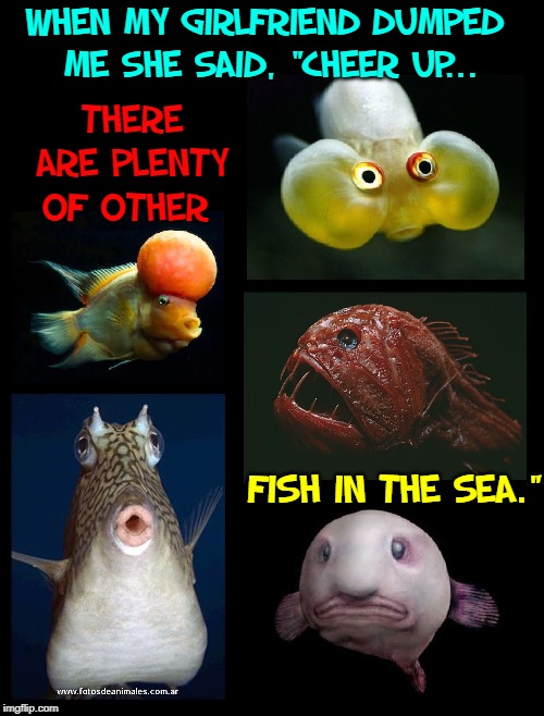 There Are Other Fish In The Sea Meme