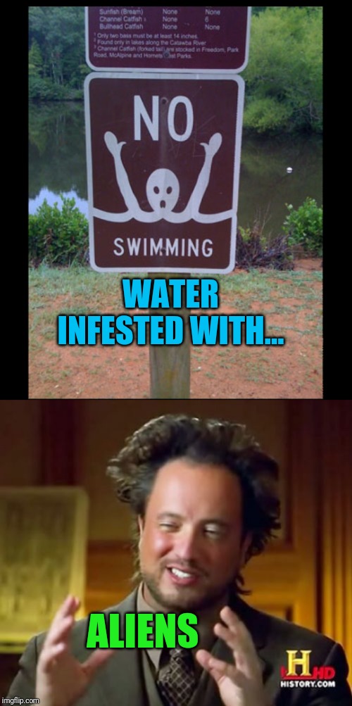swimming Memes & GIFs Imgflip