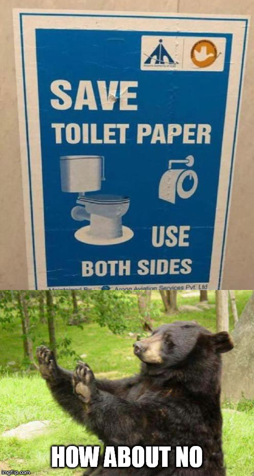 how about no bear Memes & GIFs Imgflip