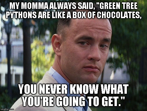Life is like a box of chocolates Imgflip