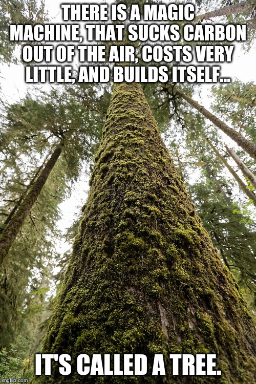 It's called a tree Imgflip