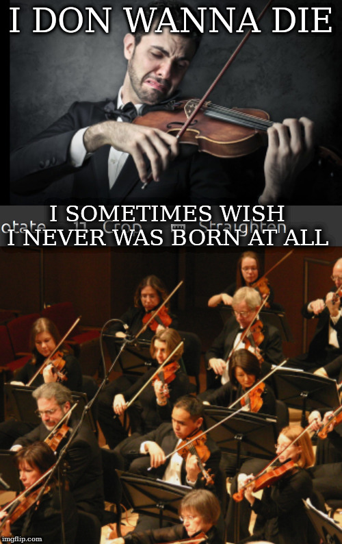 Violin trump supporters Memes Imgflip