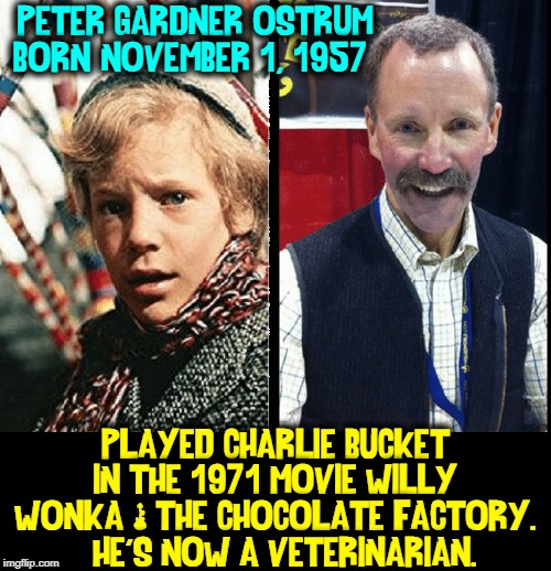 Where Are They Now? Imgflip