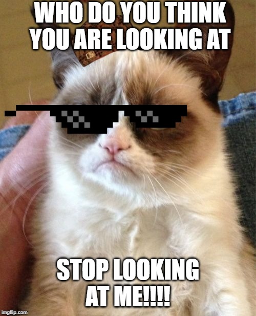 Grumpy Cat Meme Imgflip