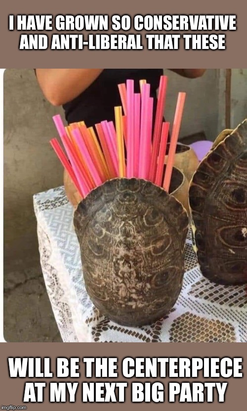 Image tagged in turtles,plastic straws,political meme,liberal vs