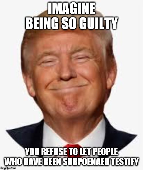 Image tagged in trump grin Imgflip