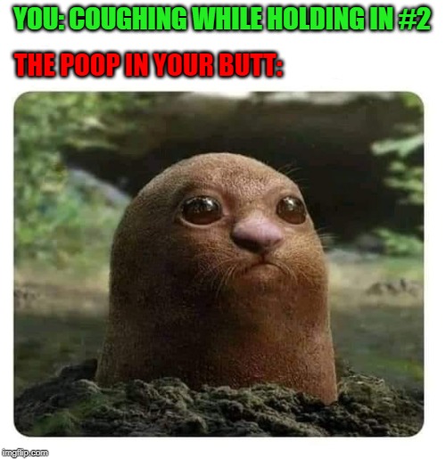 memes Imgflip