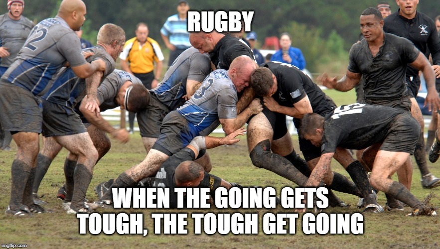 sports rugby Memes & GIFs Imgflip