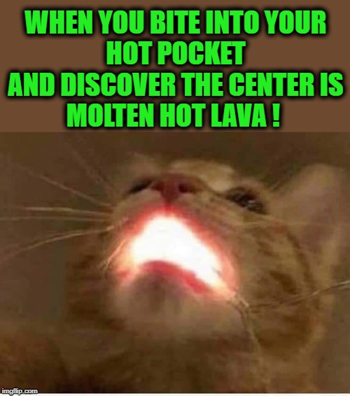 Hot Pocket ! Imgflip