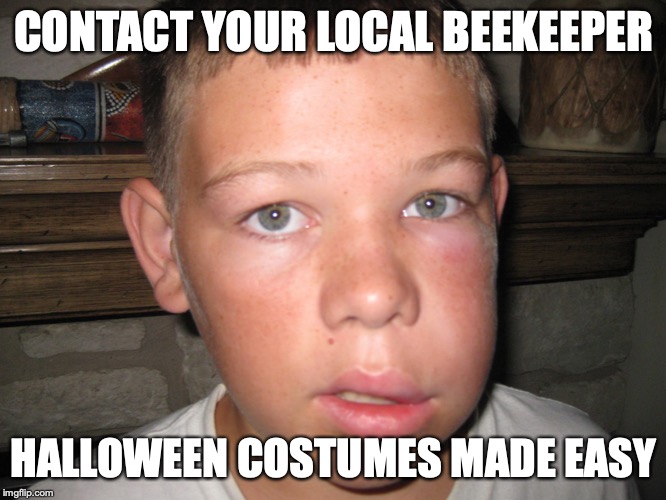 Costumes by Beekeepers Imgflip