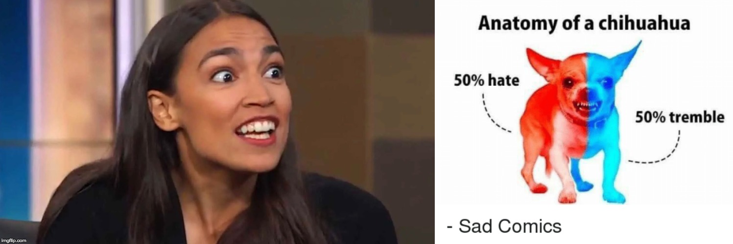 Image tagged in crazy aoc Imgflip