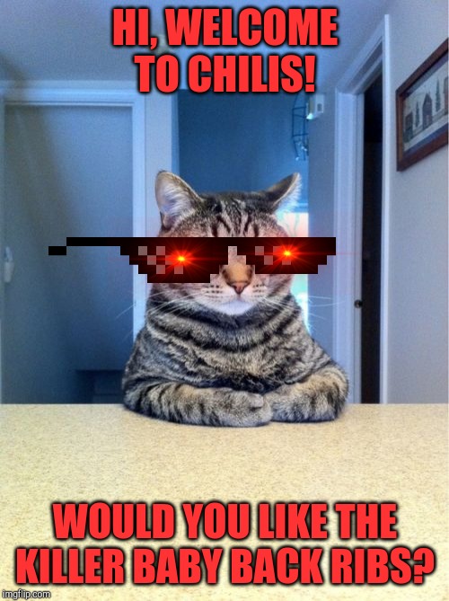 to Killer Chili's Cat Imgflip