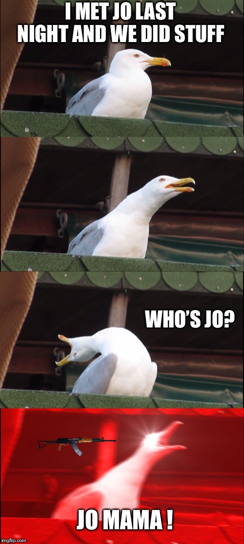 Inhaling Seagull Meme Imgflip