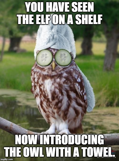 relax owl Imgflip