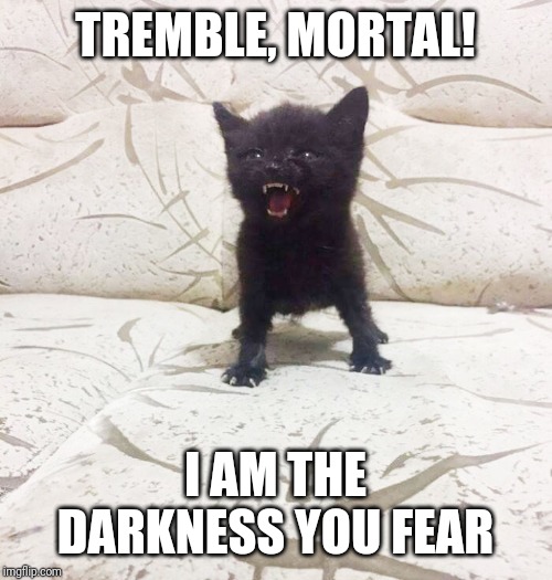 Feline Overlord Imgflip