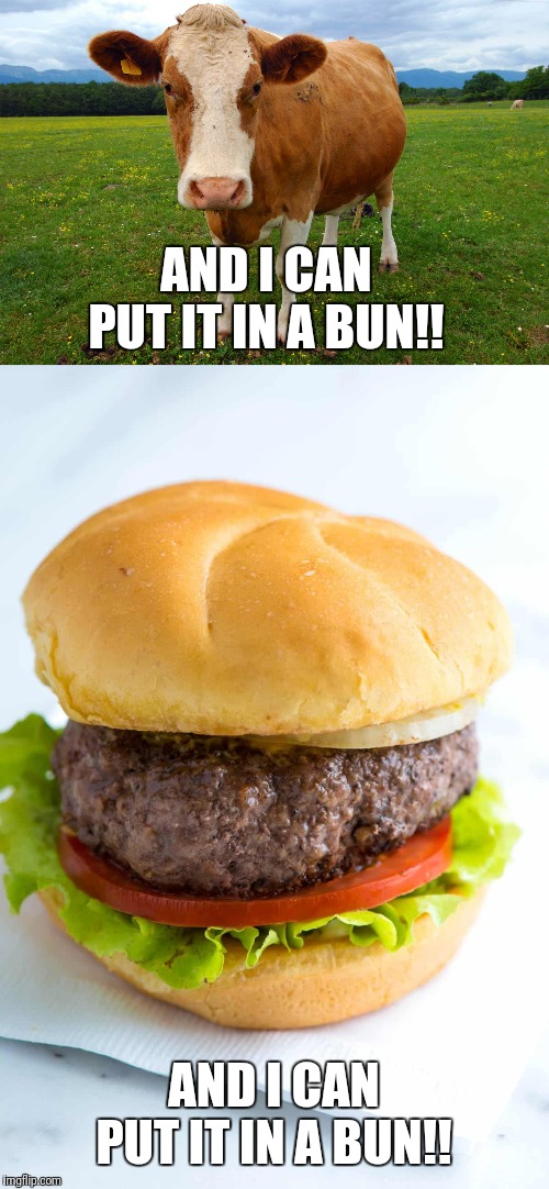 Image tagged in funny,food,lol,lol so funny Imgflip