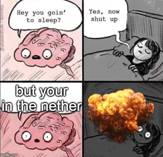 when your in the nether without knowing in bed Imgflip