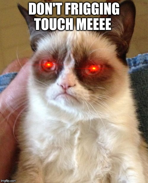 Grumpy Cat Meme Imgflip
