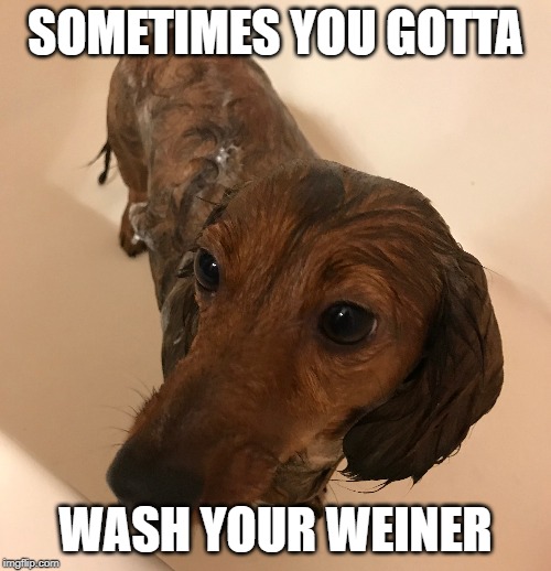 Washing Weiner Imgflip