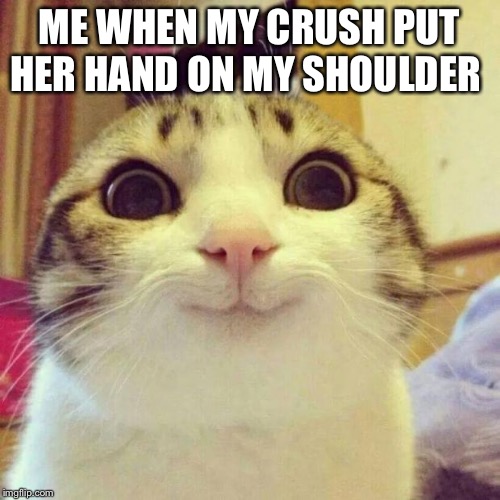 Smiling Cat Meme Imgflip