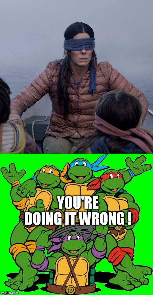 Image tagged in ninja turtles,memes,bird box Imgflip