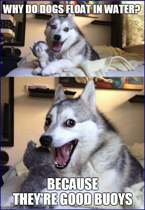 MAKE A DOG's DAY Imgflip