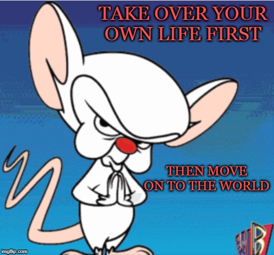 Image tagged in brain,pinky,take over the world Imgflip