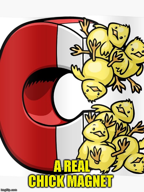 Quite the chick Imgflip