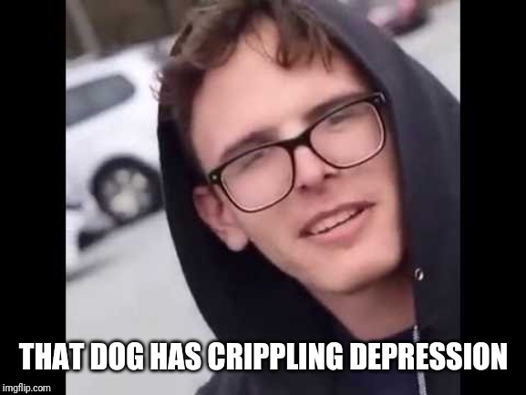 The Way The Puppy Walks Imgflip