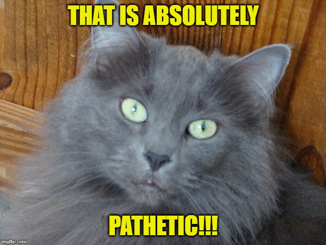 Image tagged in pathetic Imgflip