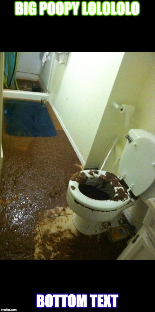 poop Memes Imgflip
