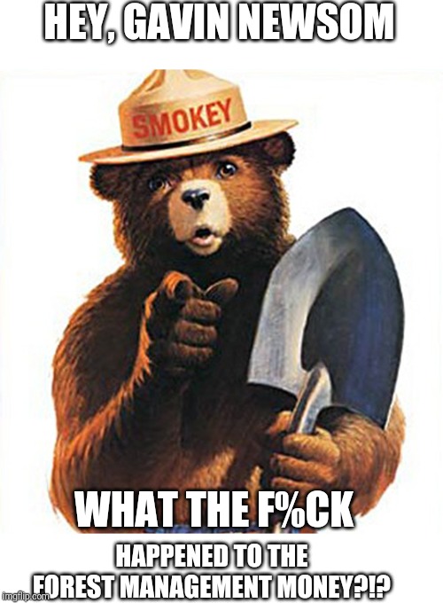 Smokey the Bear is a sad panda Imgflip