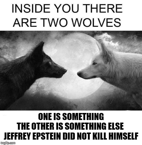 Inside you there are two wolves Imgflip