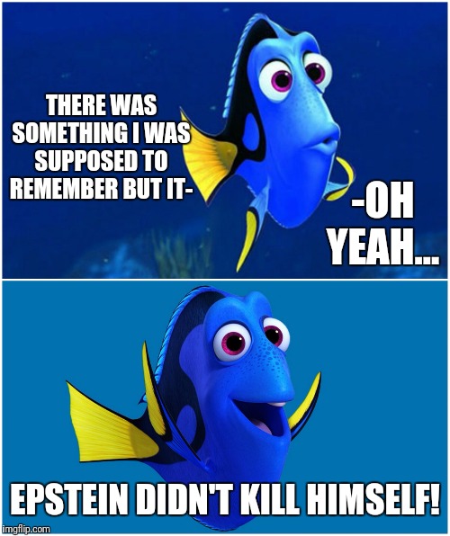 Don't Imgflip