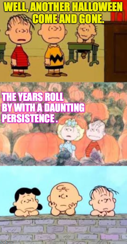 Image tagged in grumpy cats runner up grumpy dog,memes,happy day after