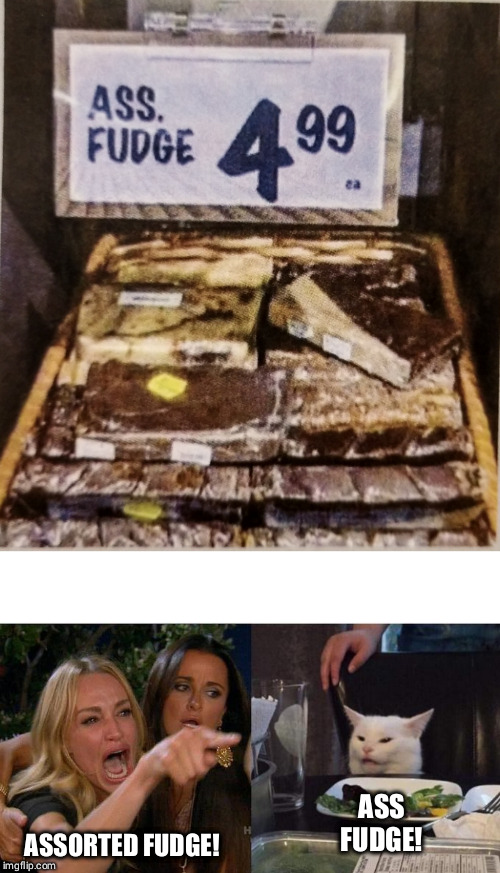 Image tagged in memes,woman yelling at a cat Imgflip