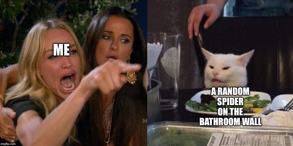 Woman yelling at cat Imgflip
