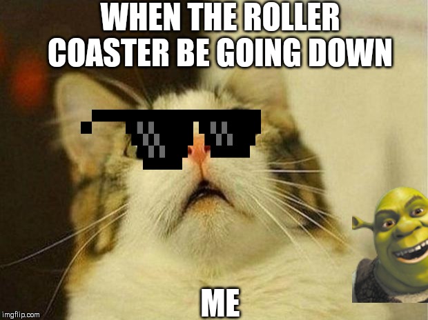 Scared Cat Meme Imgflip