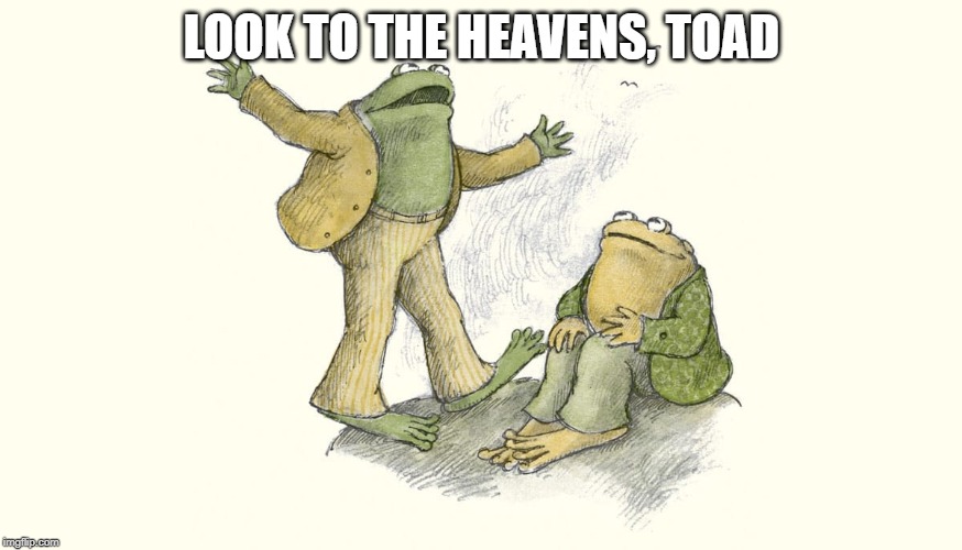 Image tagged in frog and toad 4 Imgflip