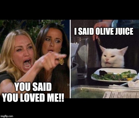 Image tagged in woman yelling at cat Imgflip