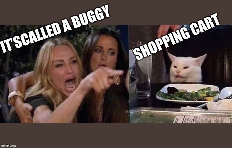 woman yelling at cat Imgflip