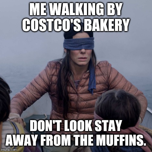 Bird Box Meme Imgflip