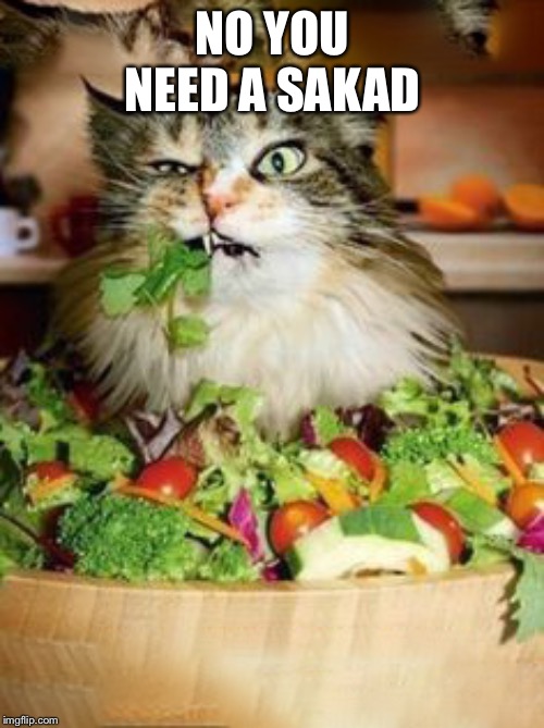 Need burger Imgflip