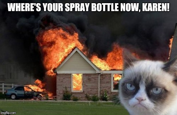 Burn Kitty Meme Imgflip