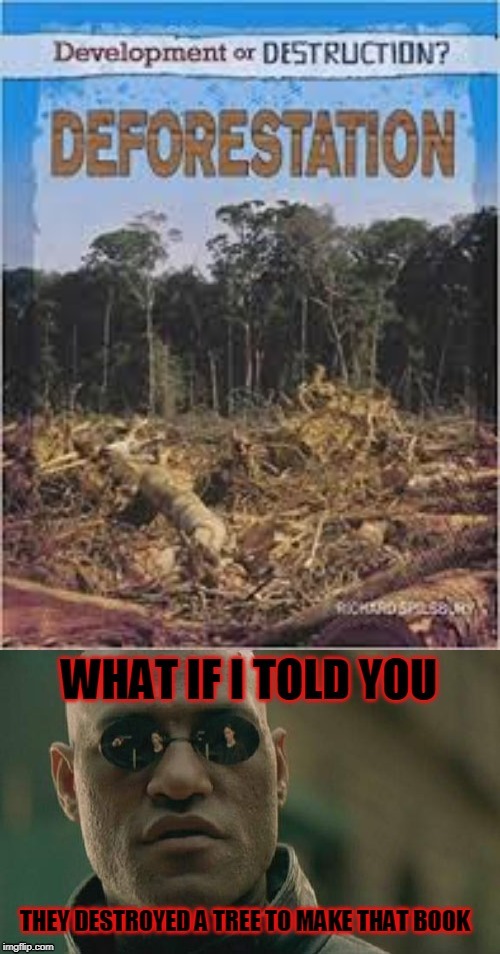 Donate to Team Trees Imgflip