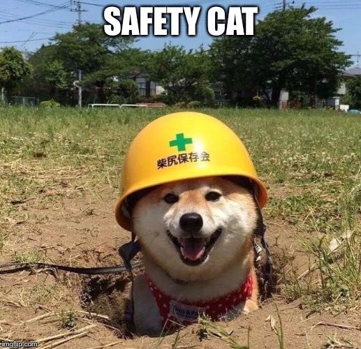 Safety doggo Imgflip