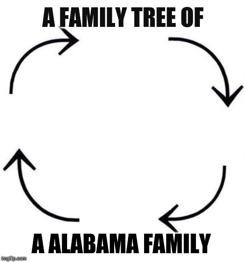 the circle of life Imgflip